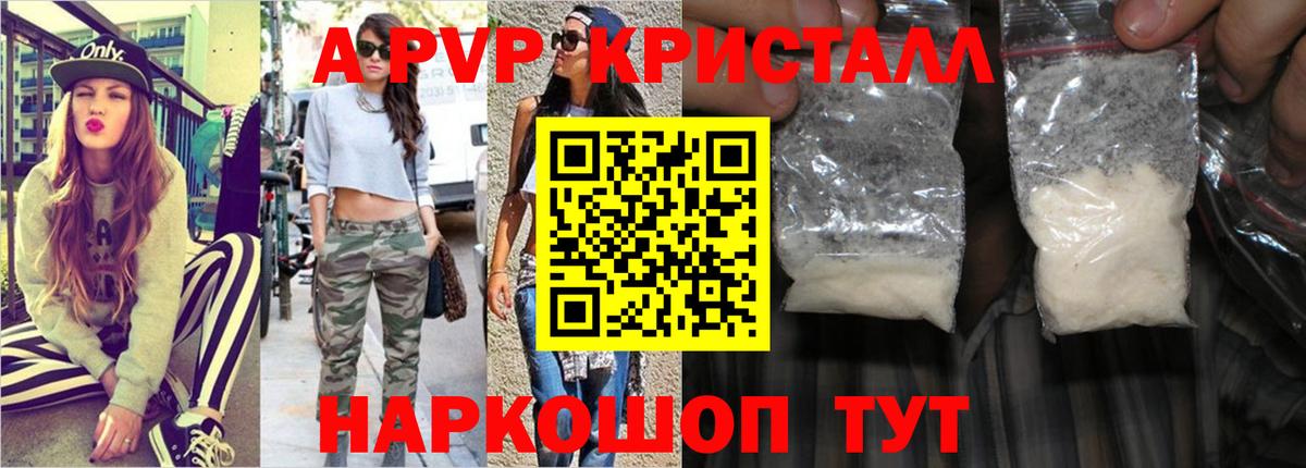 где можно купить   A PVP СК КРИС  Вход с VPN  Славгород  Alfa_PVP 