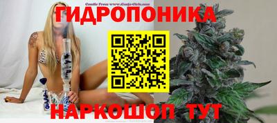 ешки Новодвинск
