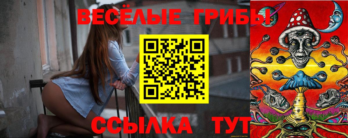Славгород  купить  цена  Вход с VPN  Псилоцибиновые грибы GOLDEN TEACHER  Галлюциногенные грибы мицелий 