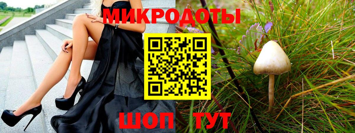 Псилоцибиновые грибы GOLDEN TEACHER Славгород